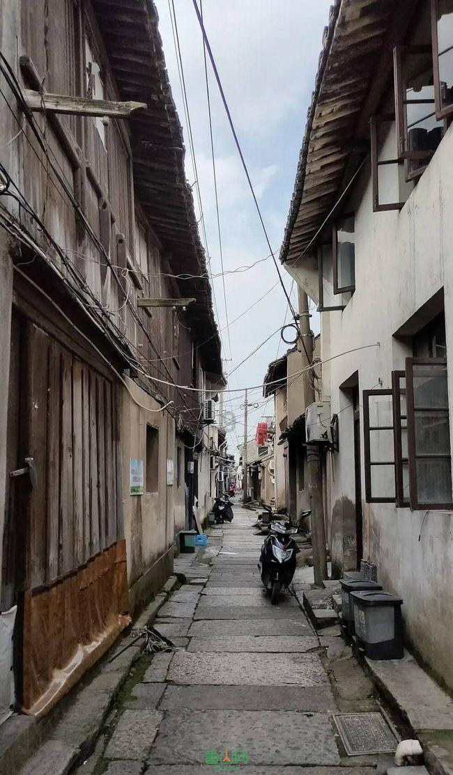 进化之地2